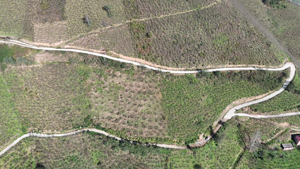 MABEL GAYRİMENKUL-ŞEYHMUSA KÖYÜ FIRSAT FINDIK BAHÇESİ